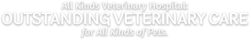 all kinds veterinary hospital outstanding veterinary care