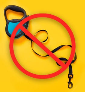 The Problems with a Flexi Leash in Callway: A Flexi Leash Not Being Allowed