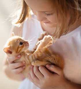 Girl With Kitten