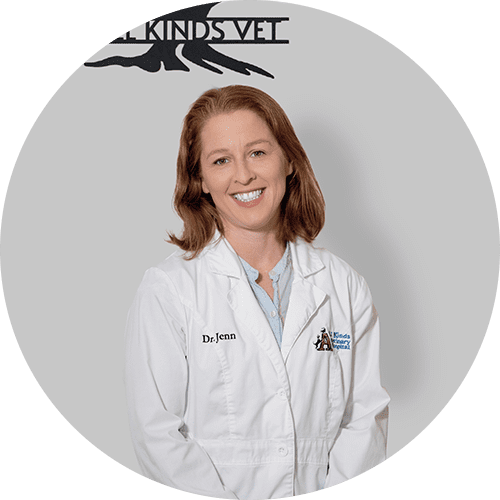 Dr Jennifer Steel Dr Jennifer Steel