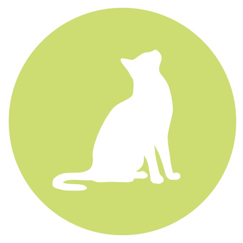 Pet icon for Cat