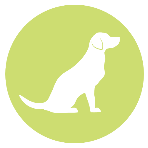 Pet icon for Dog