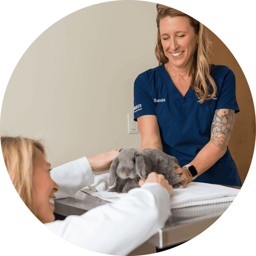 Animal Hospital & Veterinarian in Callaway, MD | All Kinds Veterinary ...