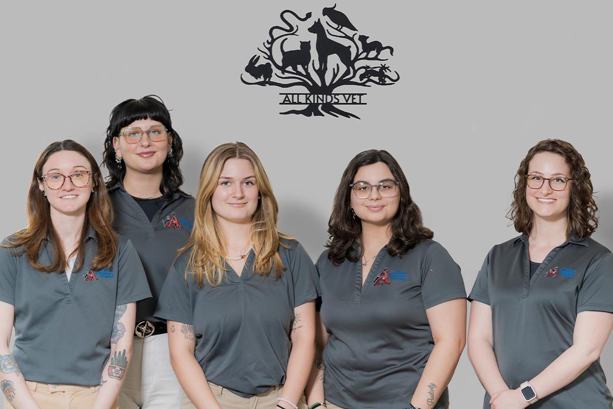 All Kinds Vet Customer Service Representatives All Kinds Vet Customer Service Representatives