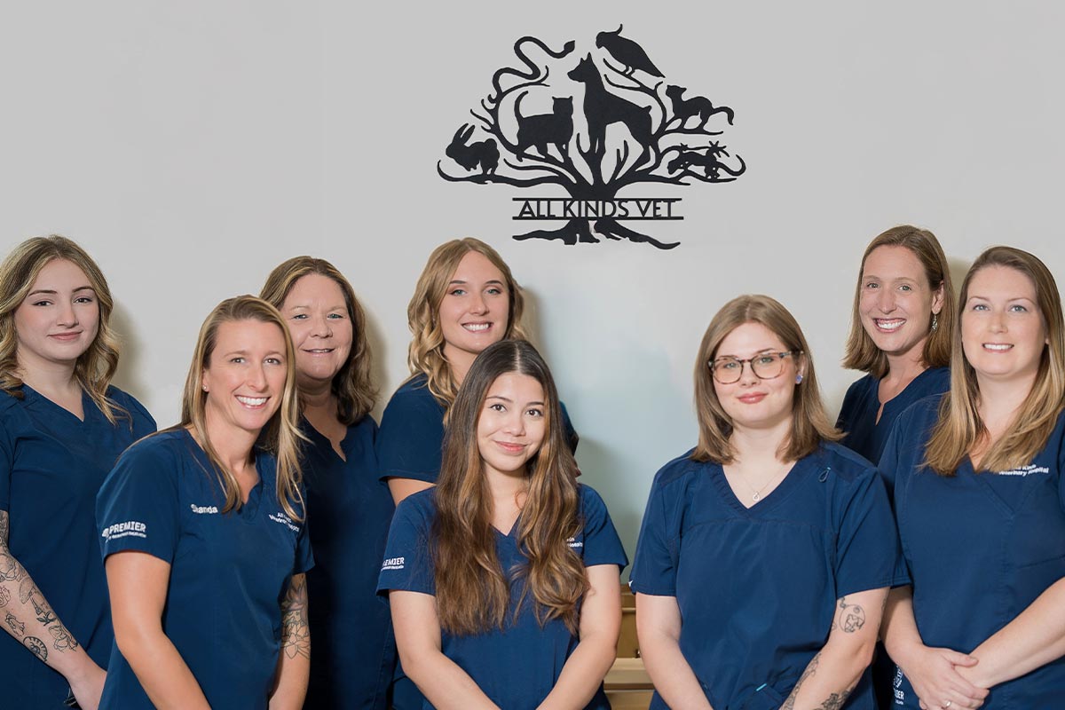 All Kinds Vet Technicians All Kinds Vet Technicians