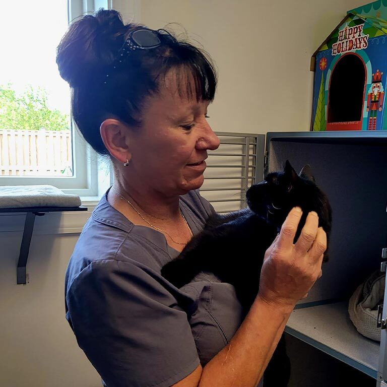 Veterinary Careers In Callaway Md Veterinary Careers In Callaway Md